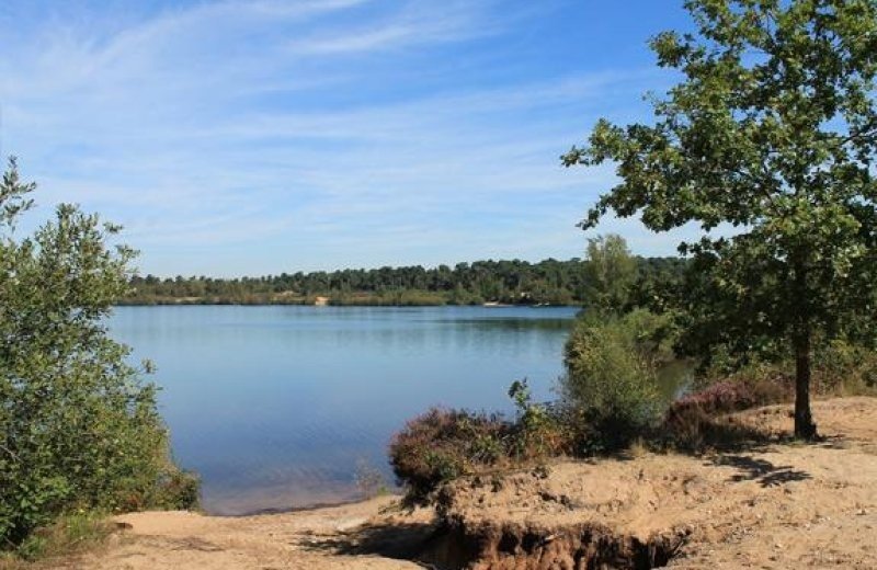Nationaal Park De Maasduinen