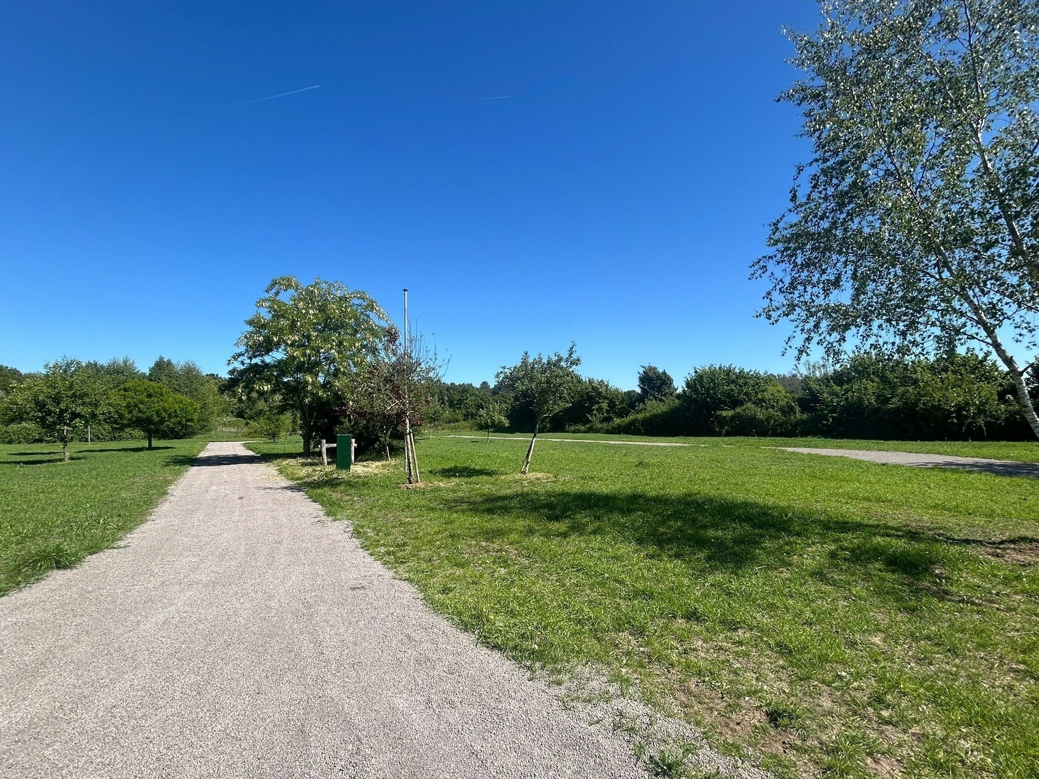 Camping in Limburg honden welkom