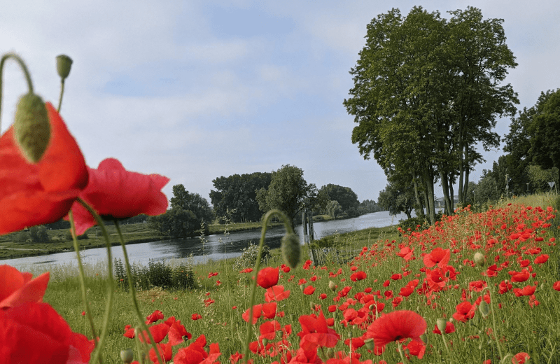 Natuur & buitenleven